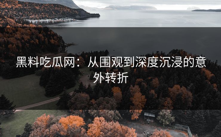 黑料吃瓜网：从围观到深度沉浸的意外转折  第1张
