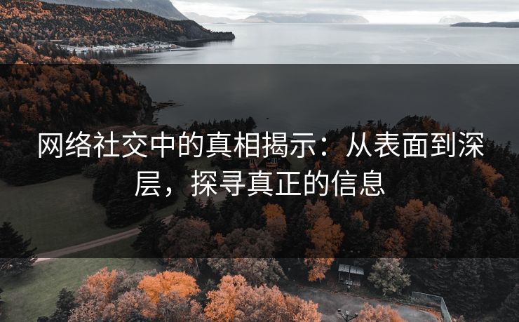 网络社交中的真相揭示：从表面到深层，探寻真正的信息  第1张