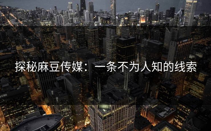 探秘麻豆传媒：一条不为人知的线索  第1张