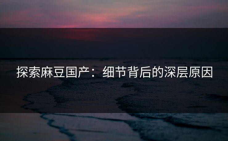 探索麻豆国产：细节背后的深层原因  第1张