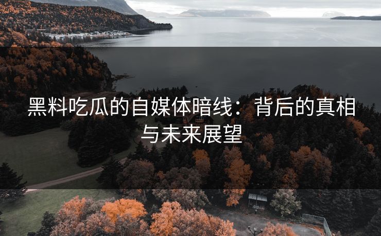黑料吃瓜的自媒体暗线：背后的真相与未来展望  第1张